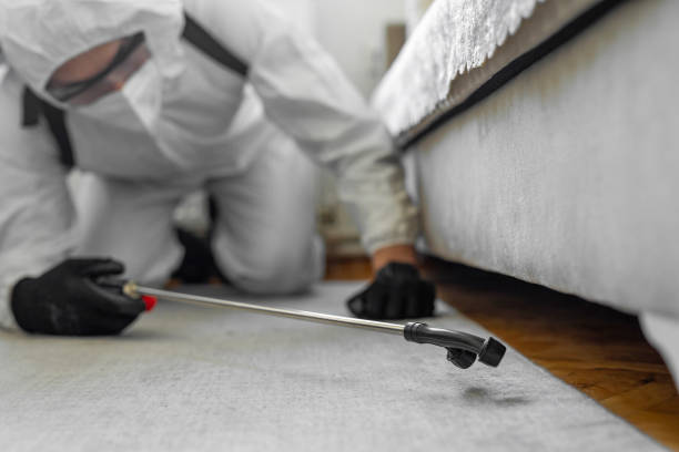 Professional Termite Control technician working in Aurora, IL