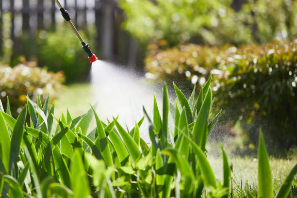 24/7 Emergency Termite Control experts in Aurora, IL