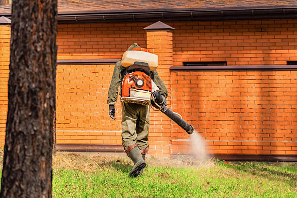 Top rated local Termite Control specialists in Aurora, IL